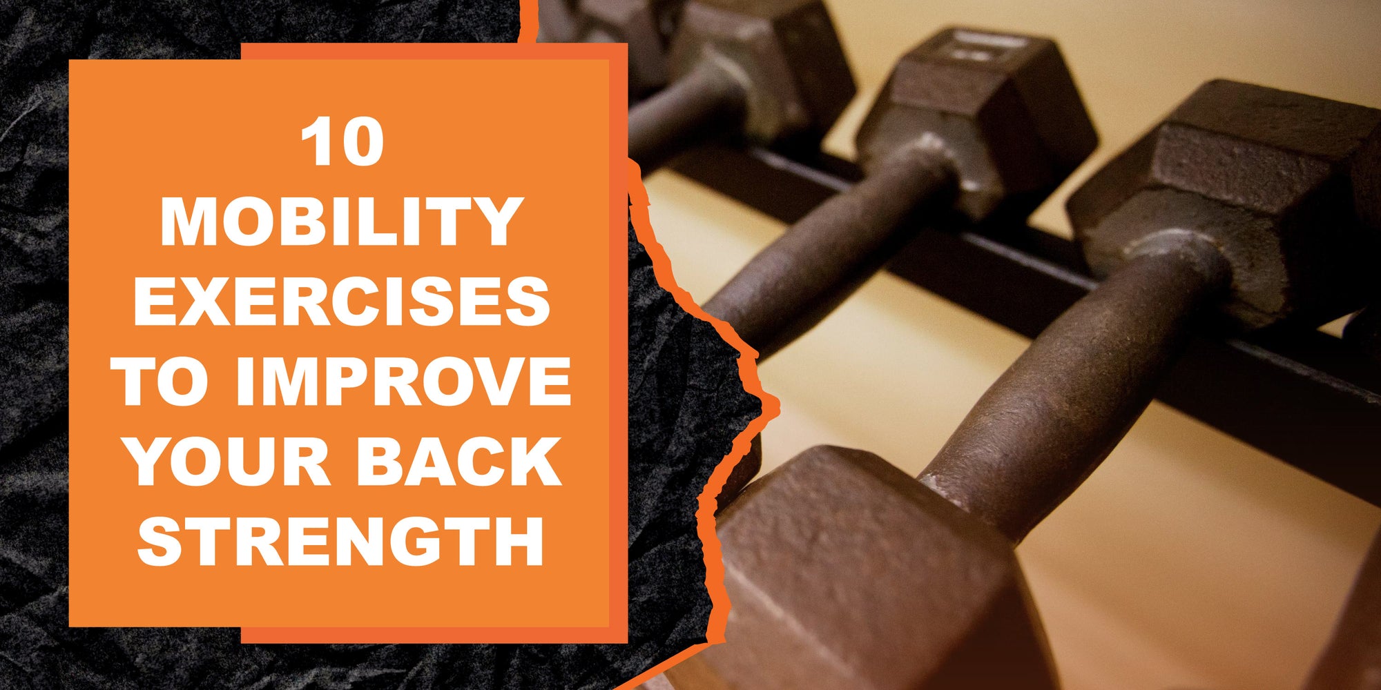 10 Mobility Exercises to Improve Your Back Strength
