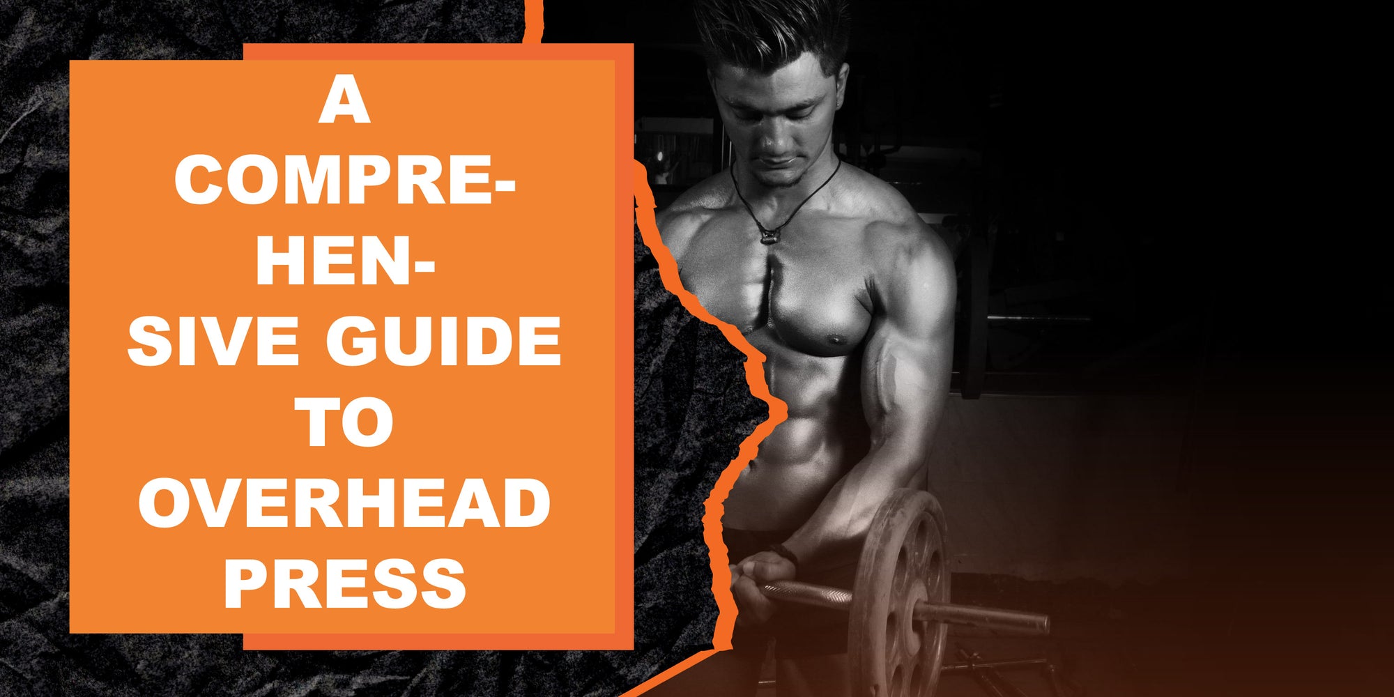 A Comprehensive Guide to Overhead Press Exercises