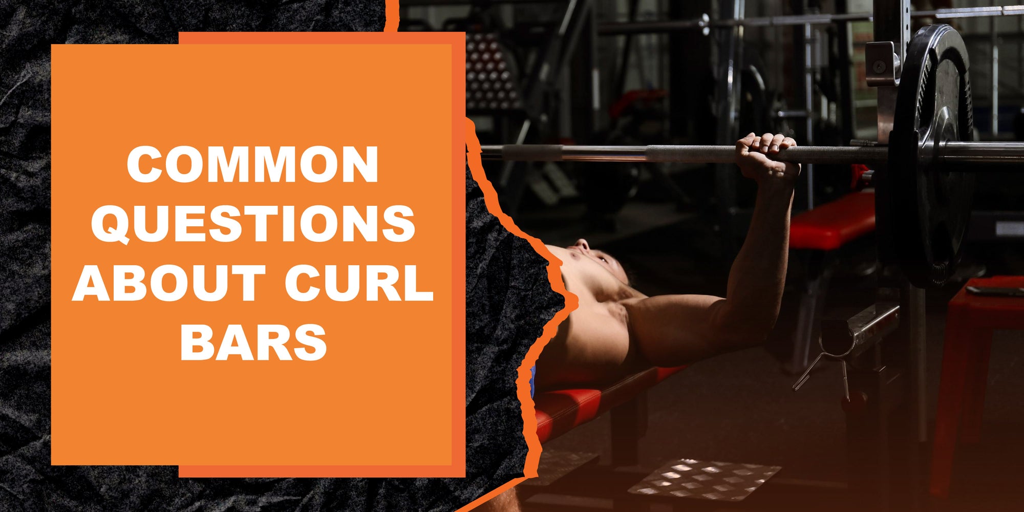 Curling Questions Common Questions About Curl Bars | MAGMA Fitness