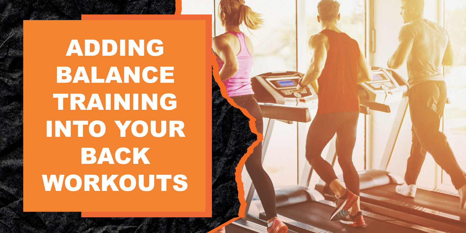 How to Incorporate Balance Training into Your Back Workouts MAGMA Fitness