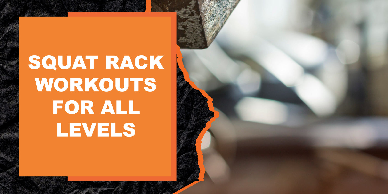 Squat Rack Workout Routine Squat Rack Workouts for All Levels | MAGMA Fitness