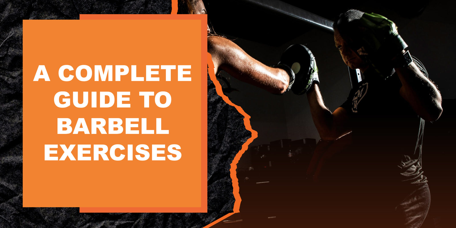 A Complete Guide to Barbell Exercises | MAGMA Fitness
