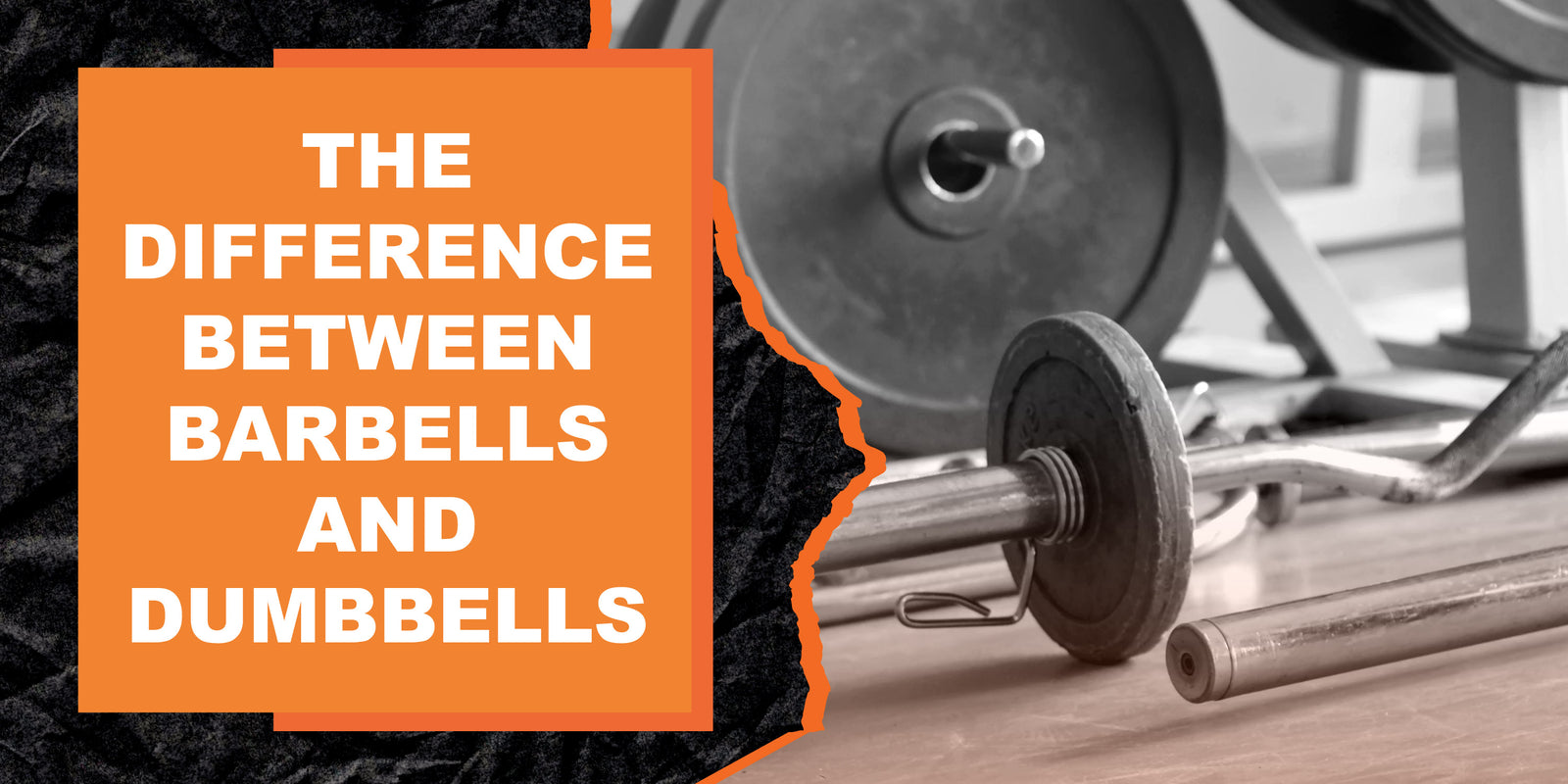The Difference Between Barbells and Dumbbells MAGMA Fitness