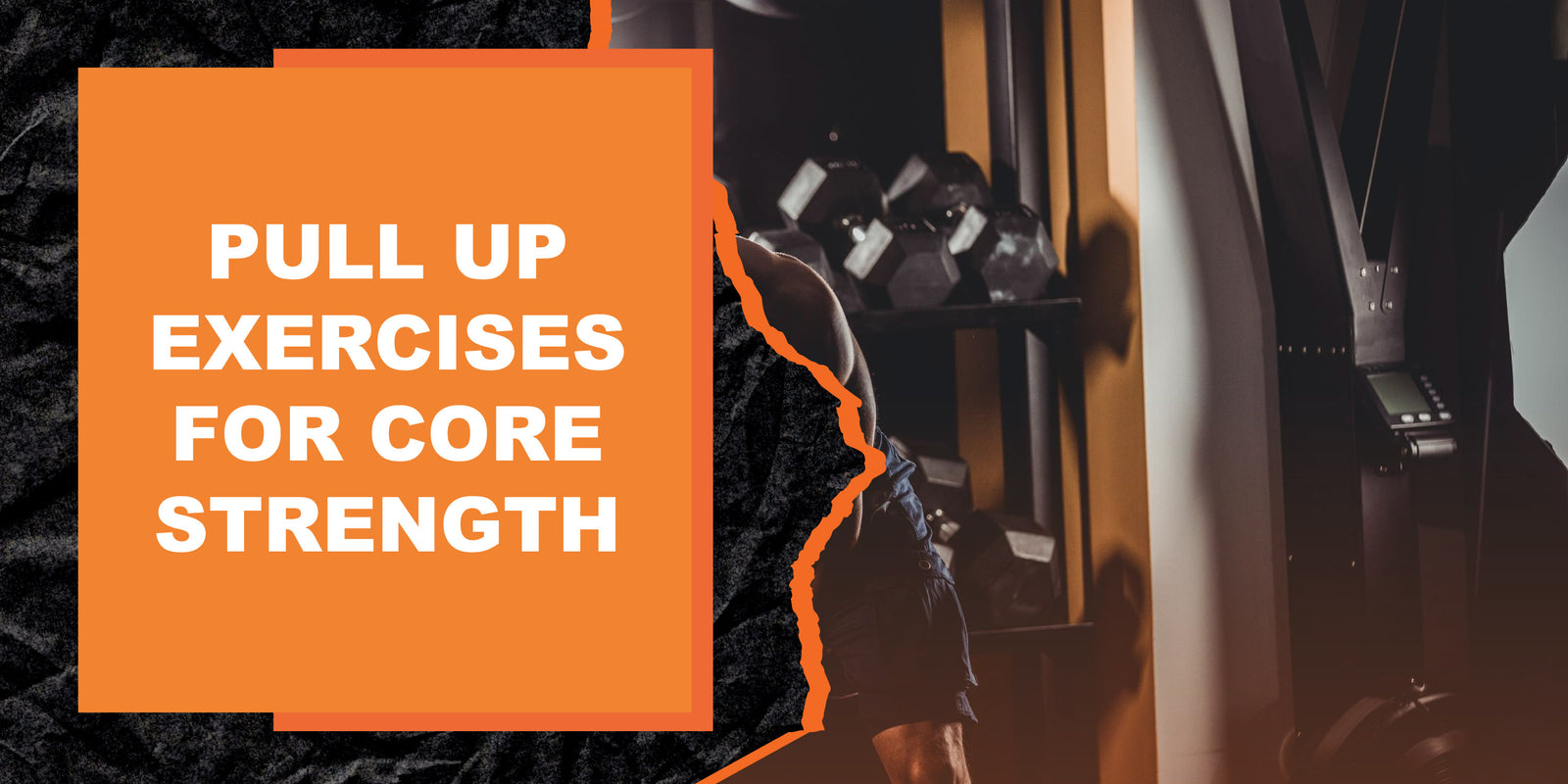 the-ultimate-guide-to-pull-up-exercises-for-core-strength-magma-fitness