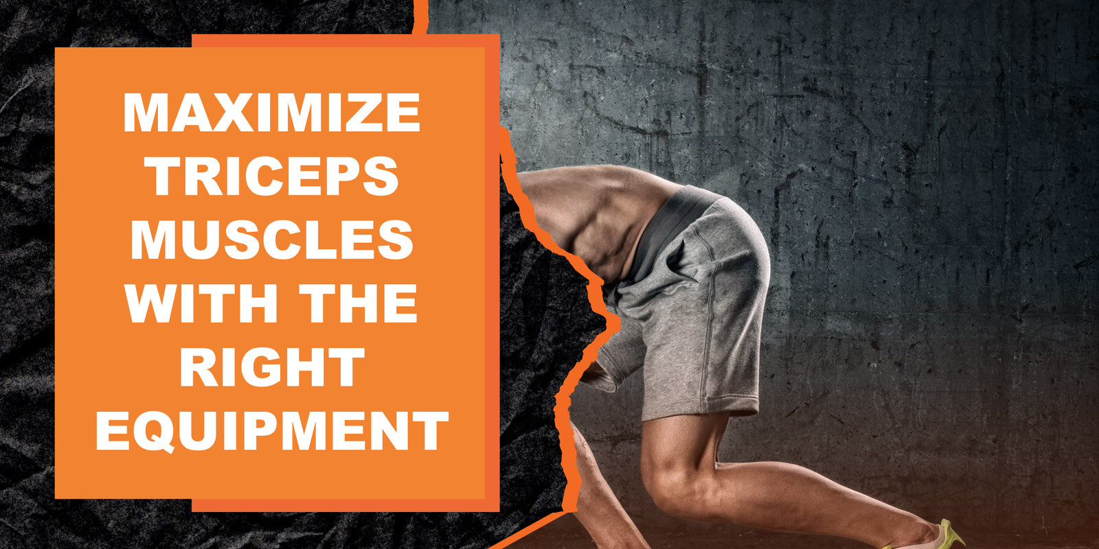 Maximize Triceps Muscle Gains with the Right Fitness Equipment