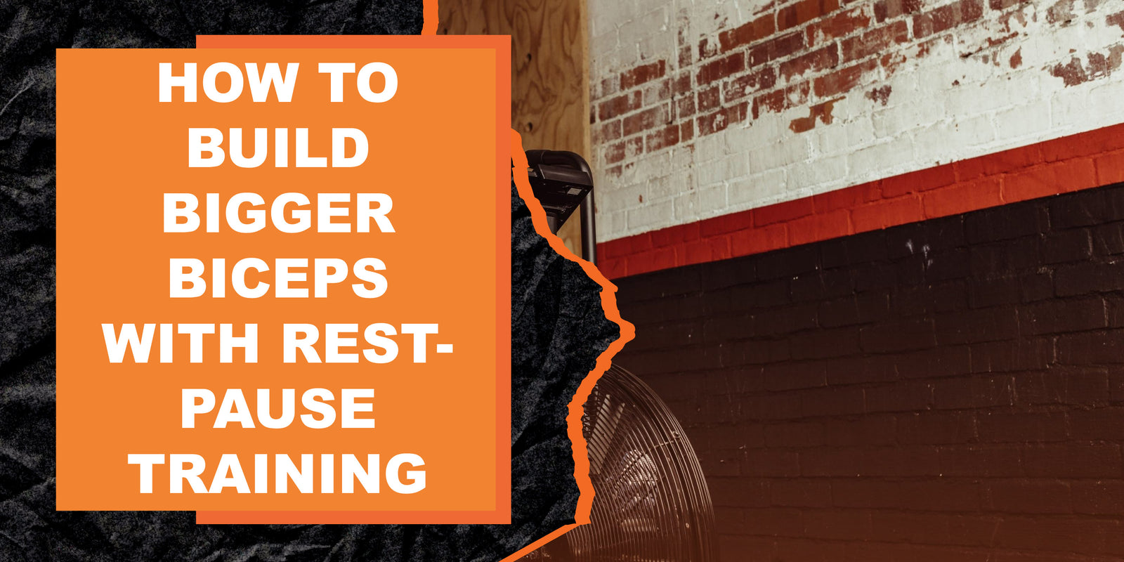 How to Build Bigger Biceps with Rest-Pause Training