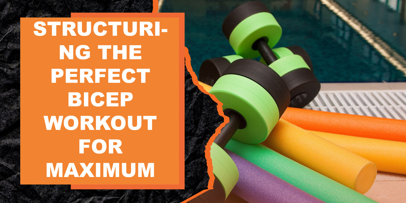 How to Structure the Perfect Bicep Workout for Maximum Gains MAGMA