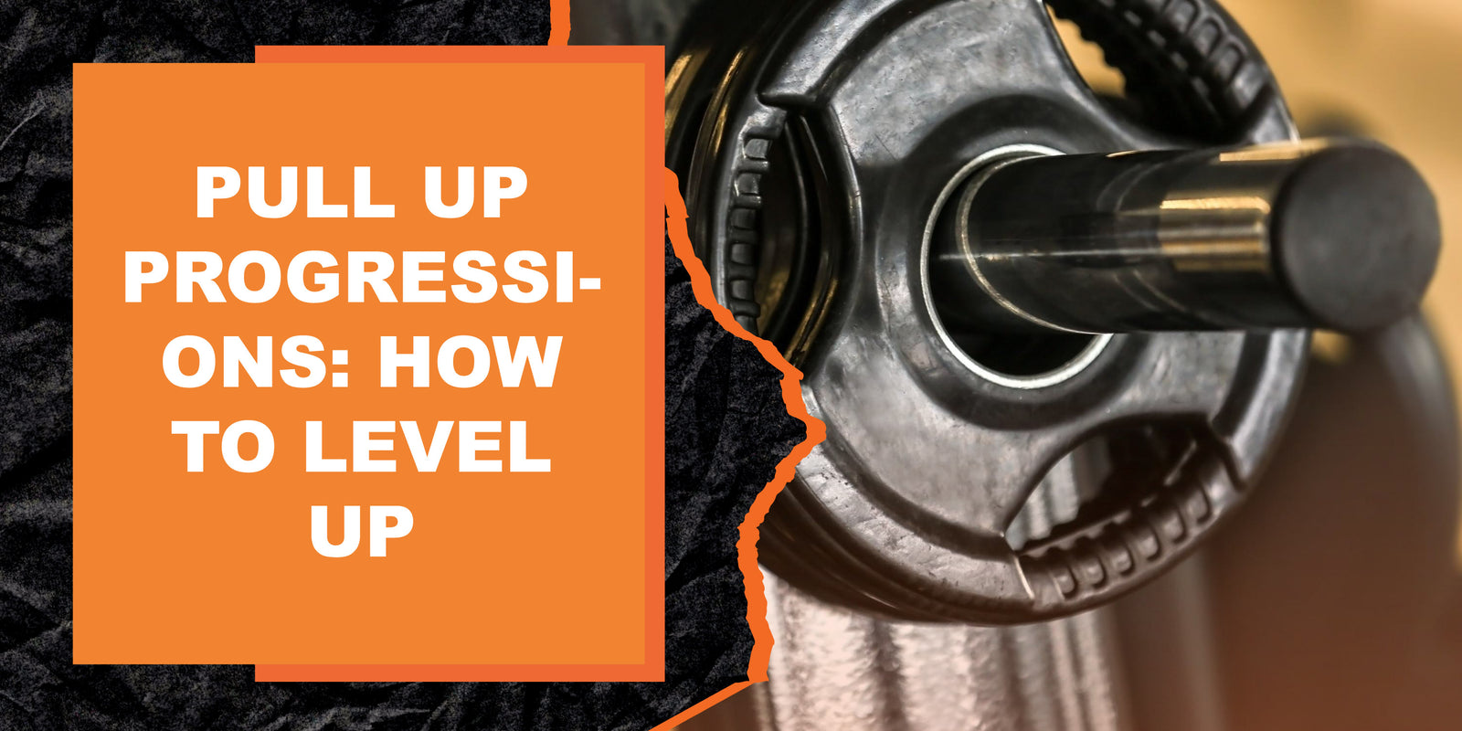 Pull Up Progressions: How To Level Up