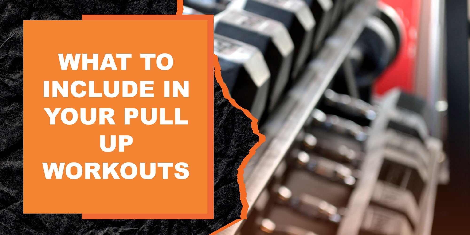 What to Include in Your Pull Up Workouts