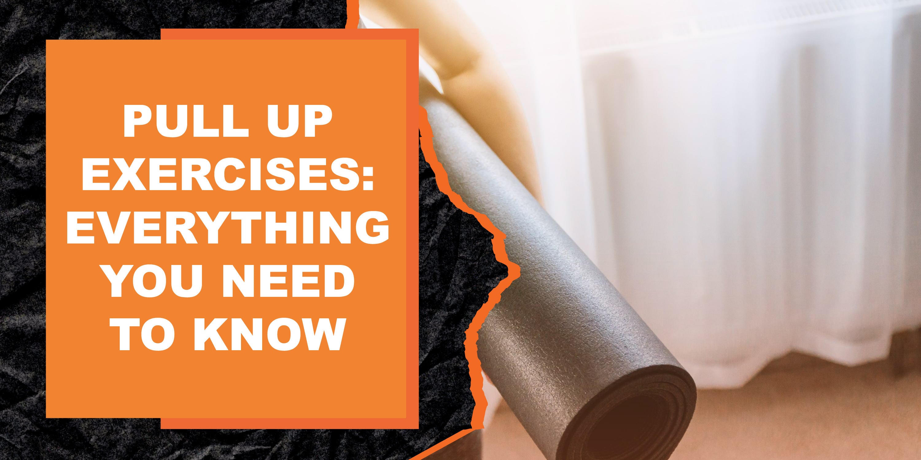 Pull Up Exercises Everything You Need to Know MAGMA Fitness