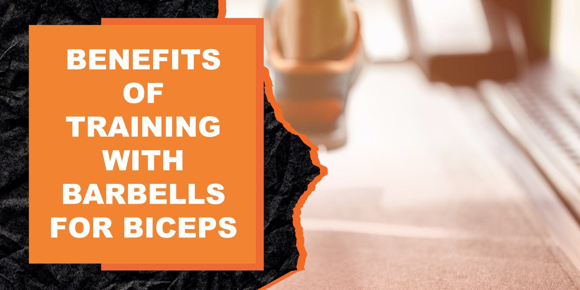 The Benefits of Training with Barbells for Bicep Development