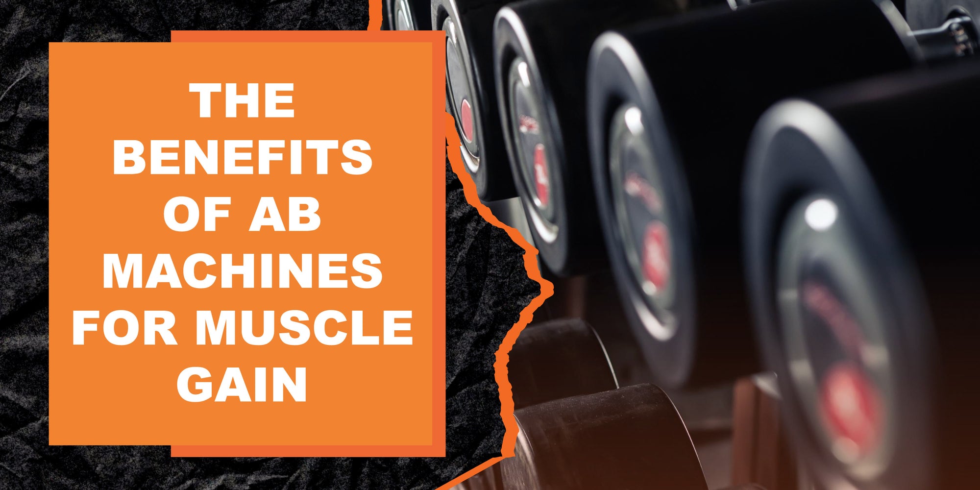 Ab Generator Muscle Target The Benefits of Ab Machines for Muscle Gain | MAGMA Fitness