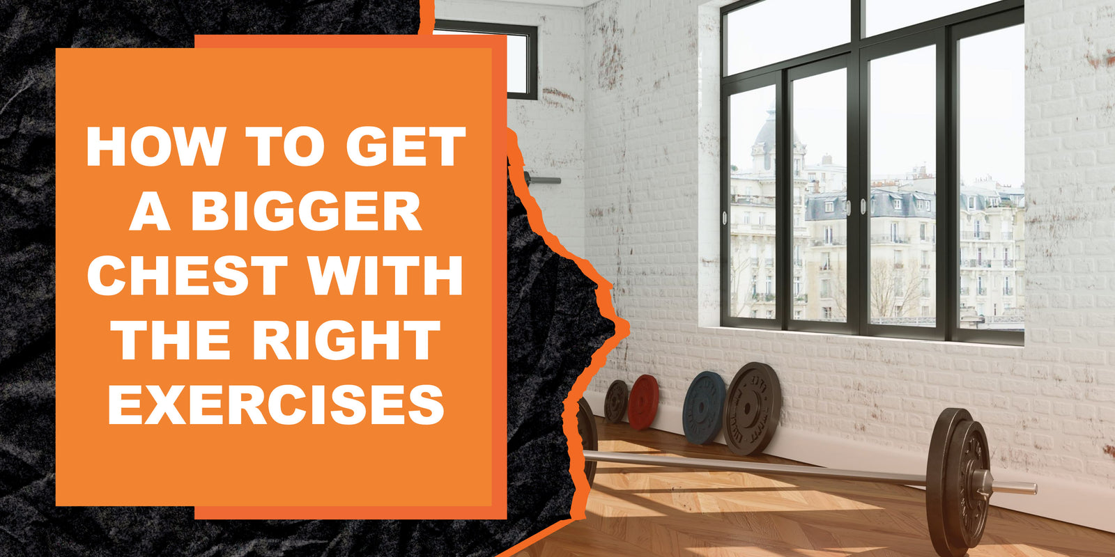How to Get a Bigger Chest with the Right Exercises MAGMA Fitness