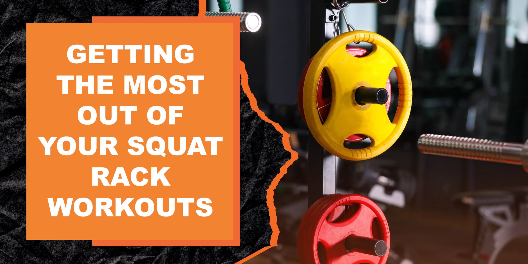 Squat Rack Workout Routine Getting the Most Out of Your Squat Rack Workouts | MAGMA Fitness