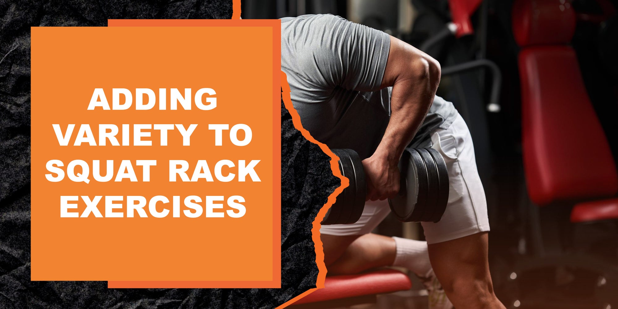 Squat Rack Workout Routine Adding Variety to Squat Rack Exercises | MAGMA Fitness