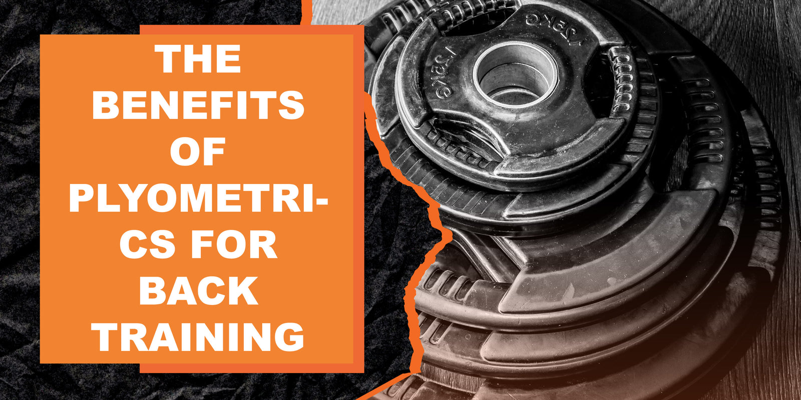 The Benefits of Plyometrics for Back Training