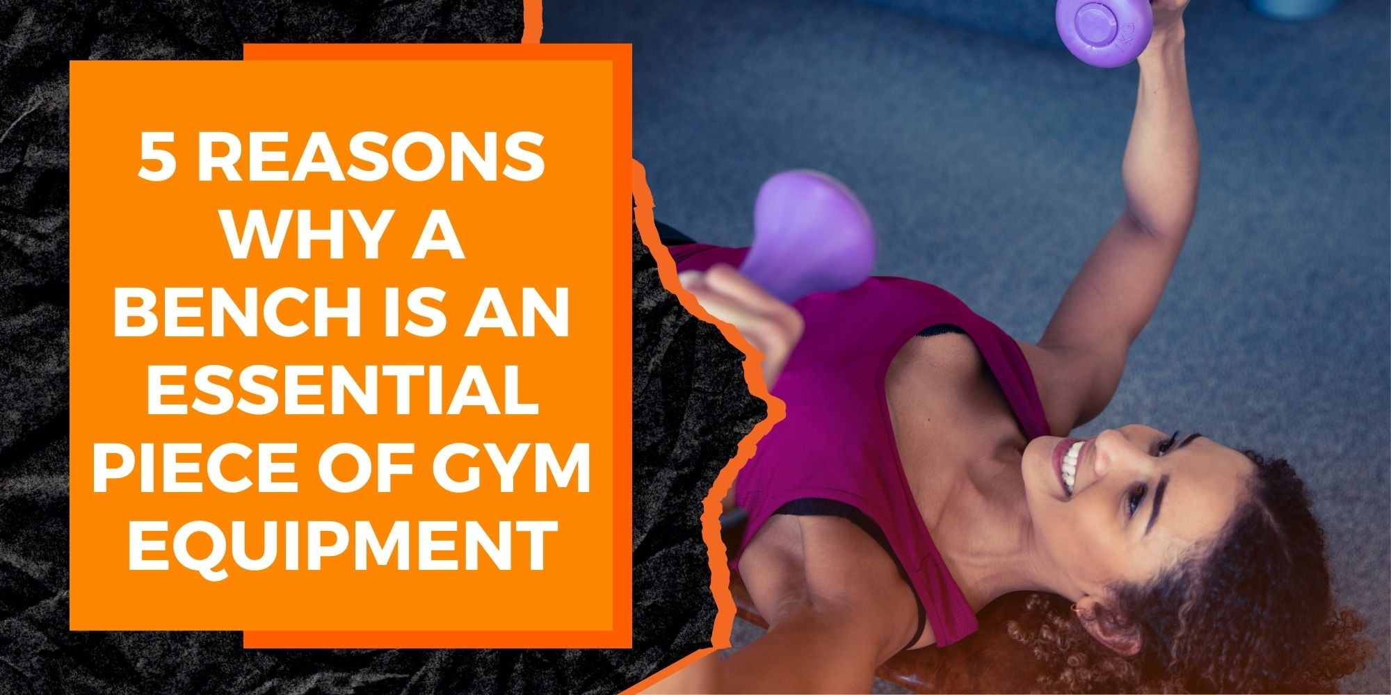 5 Reasons Why a Bench is an Essential Piece of Gym Equipment