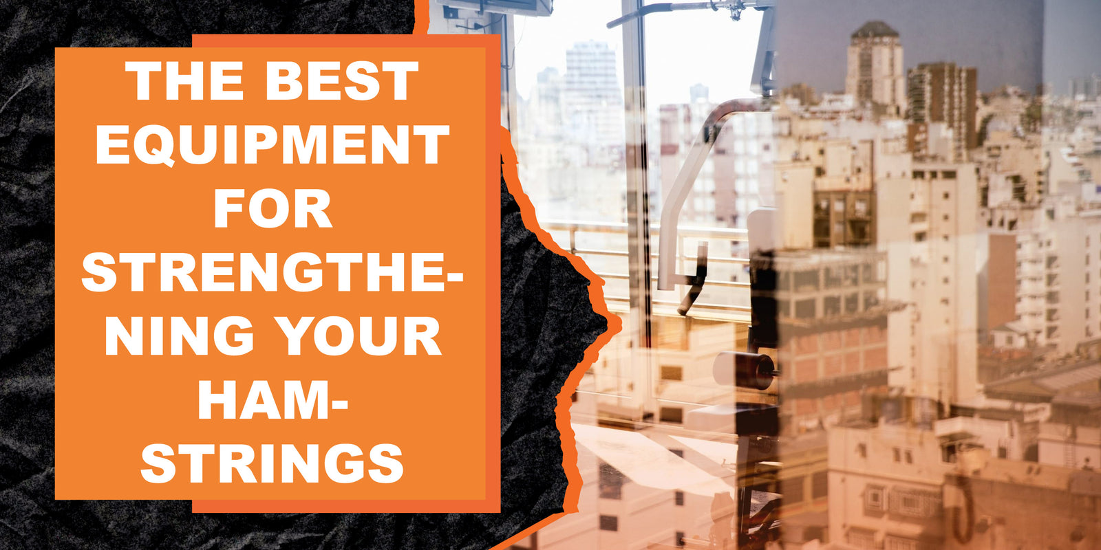 The Best Equipment for Strengthening Your Hamstrings