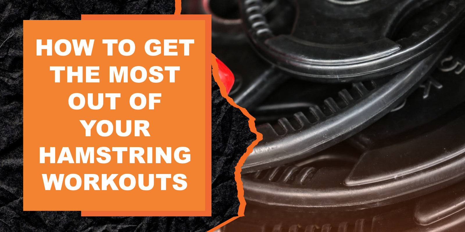 How to Get the Most Out of Your Hamstring Workouts | MAGMA Fitness
