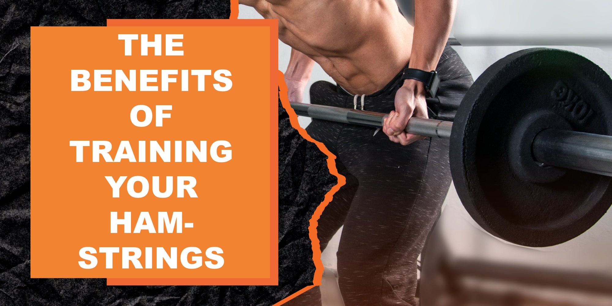 The Benefits of Training Your Hamstrings