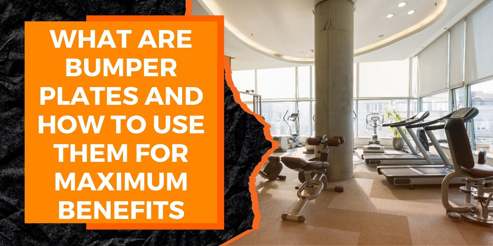 What Are Bumper Plates and How to Use Them for Maximum Benefits MAGMA