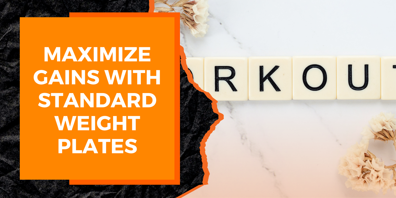 Maximize Gains with Standard Weight Plates