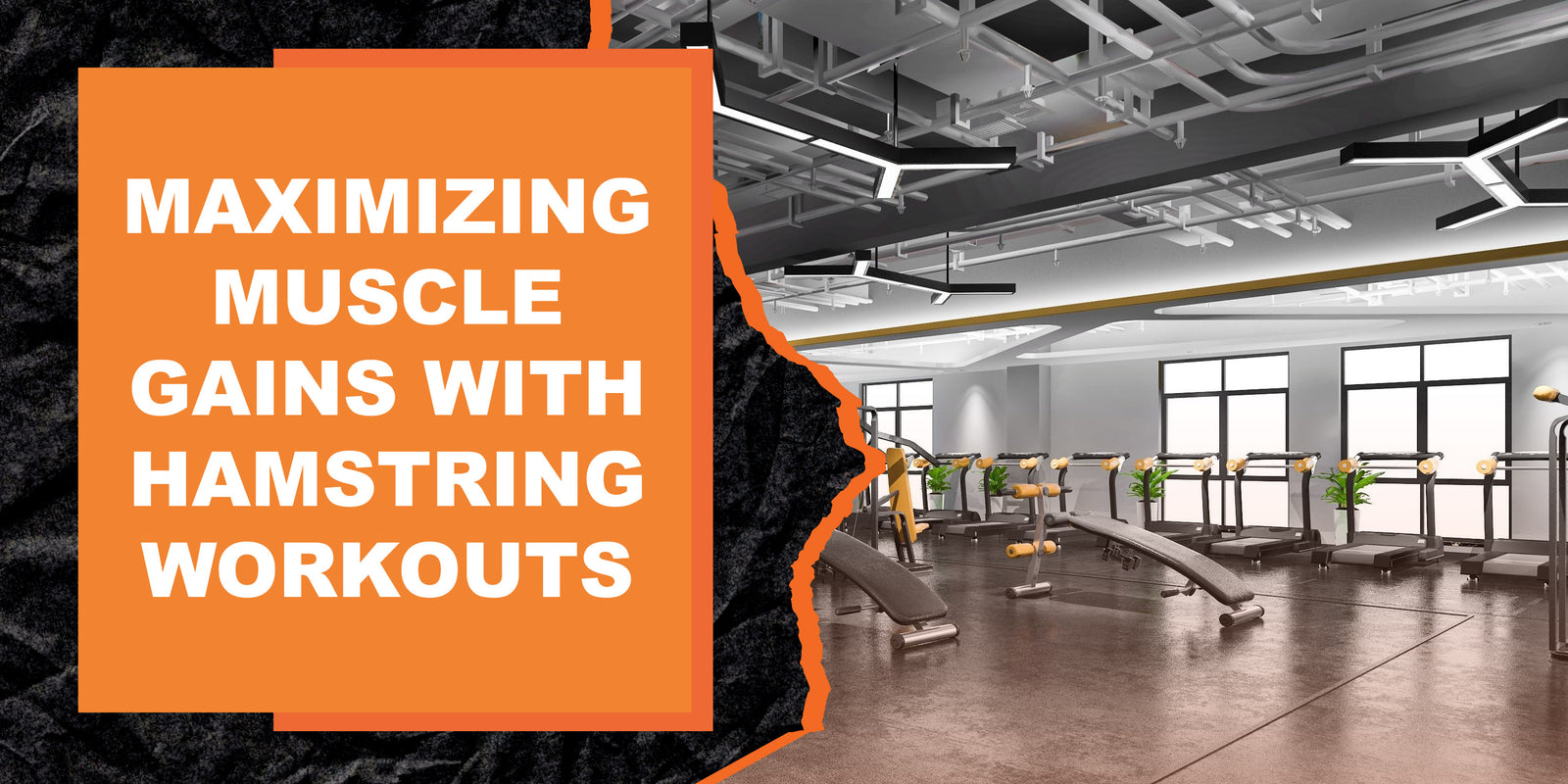 Maximizing Muscle Gains with Hamstring Workouts