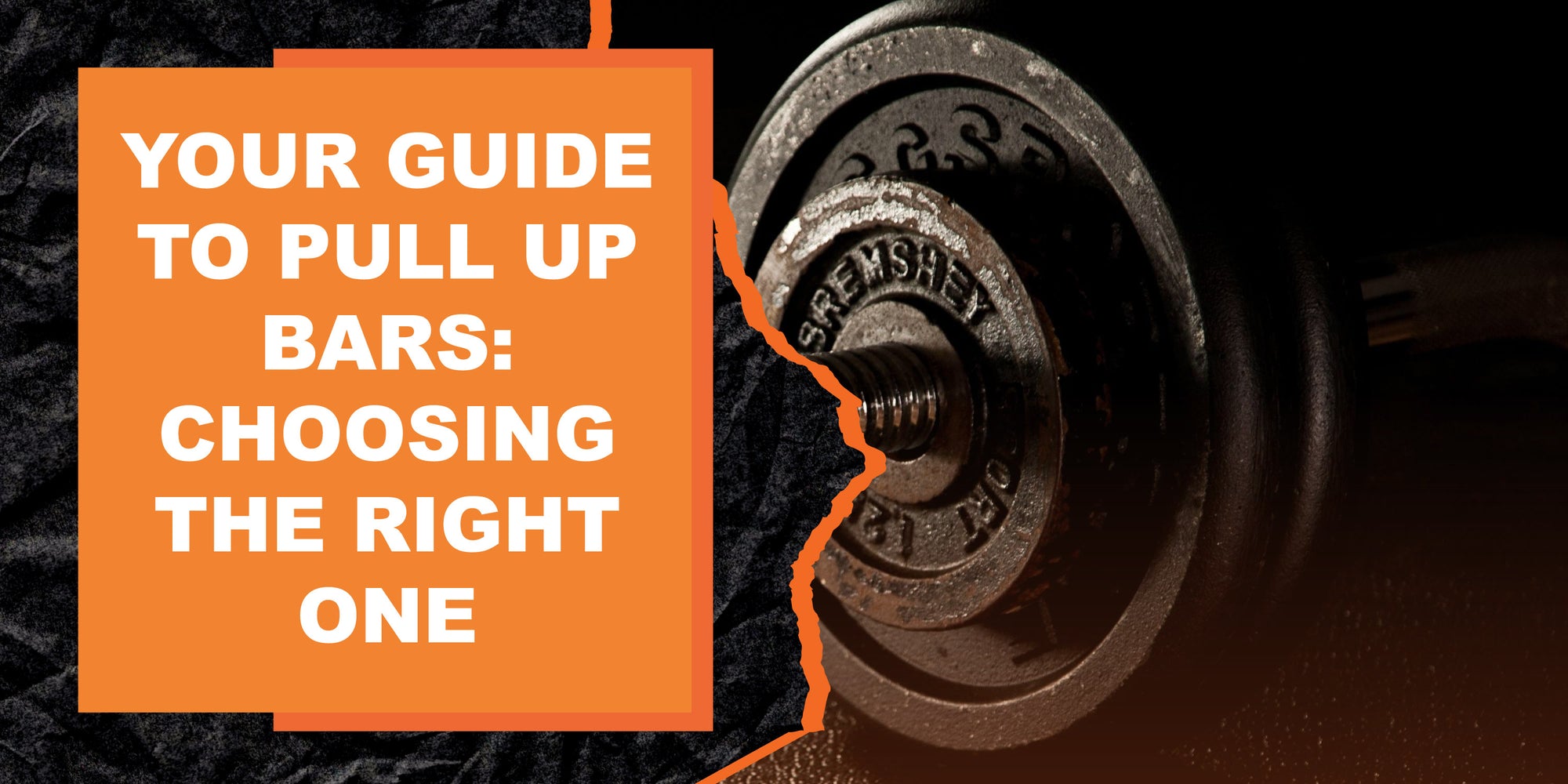 Your Guide to Pull Up Bars: Choosing the Right One | MAGMA Fitness