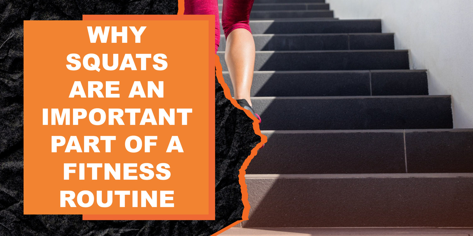 Why Squats Are an Important Part of a Fitness Routine