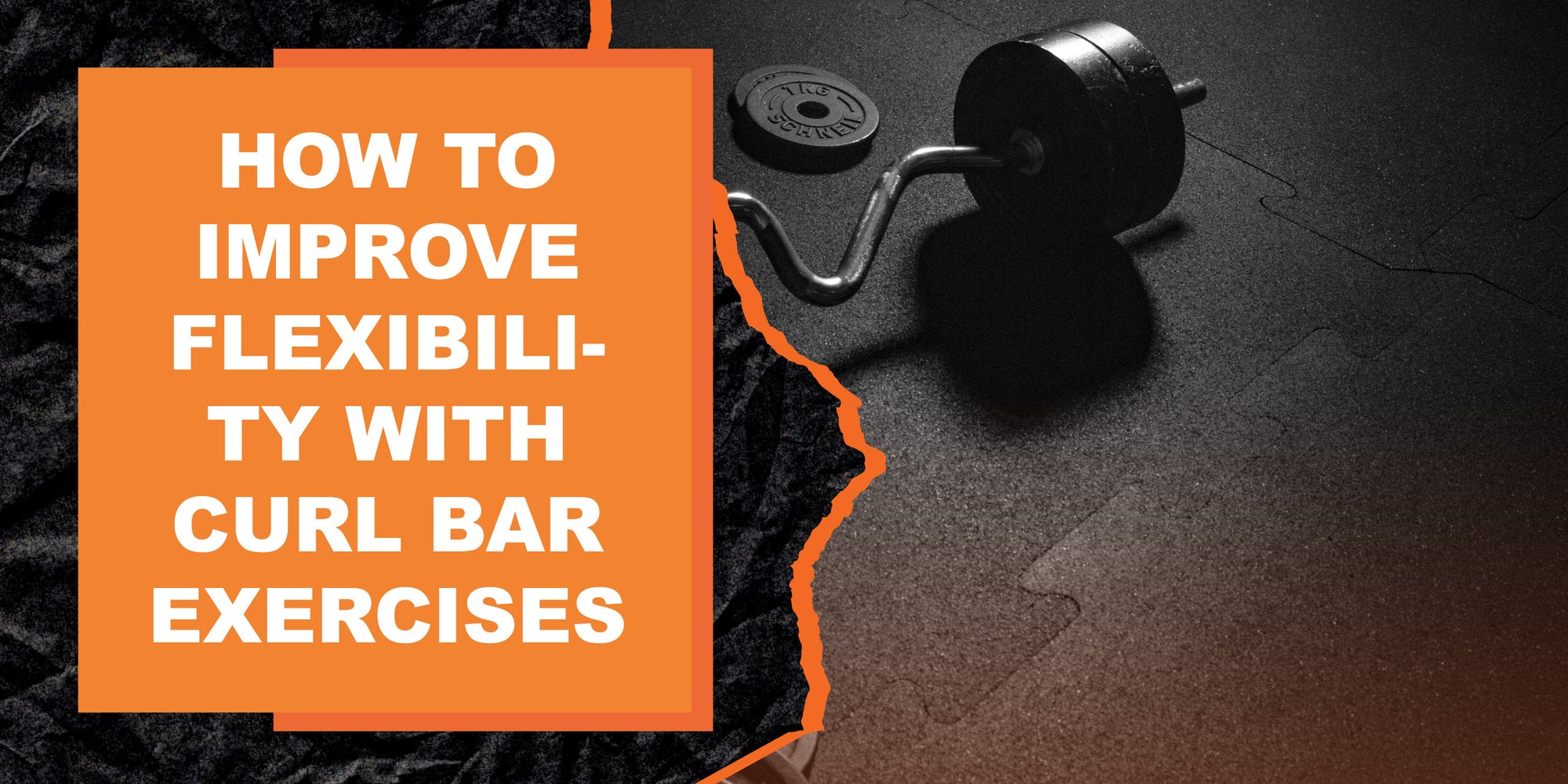 How to Improve Flexibility with Curl Bar Exercises | MAGMA Fitness