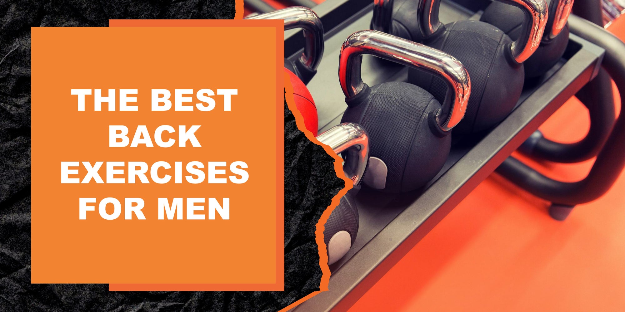 The Best Back Exercises for Men
