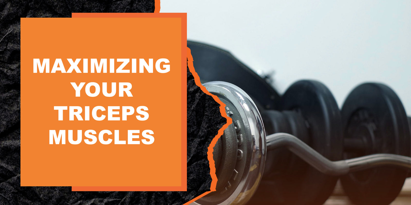 Maximizing Your Triceps Muscles with the Right Fitness Equipment