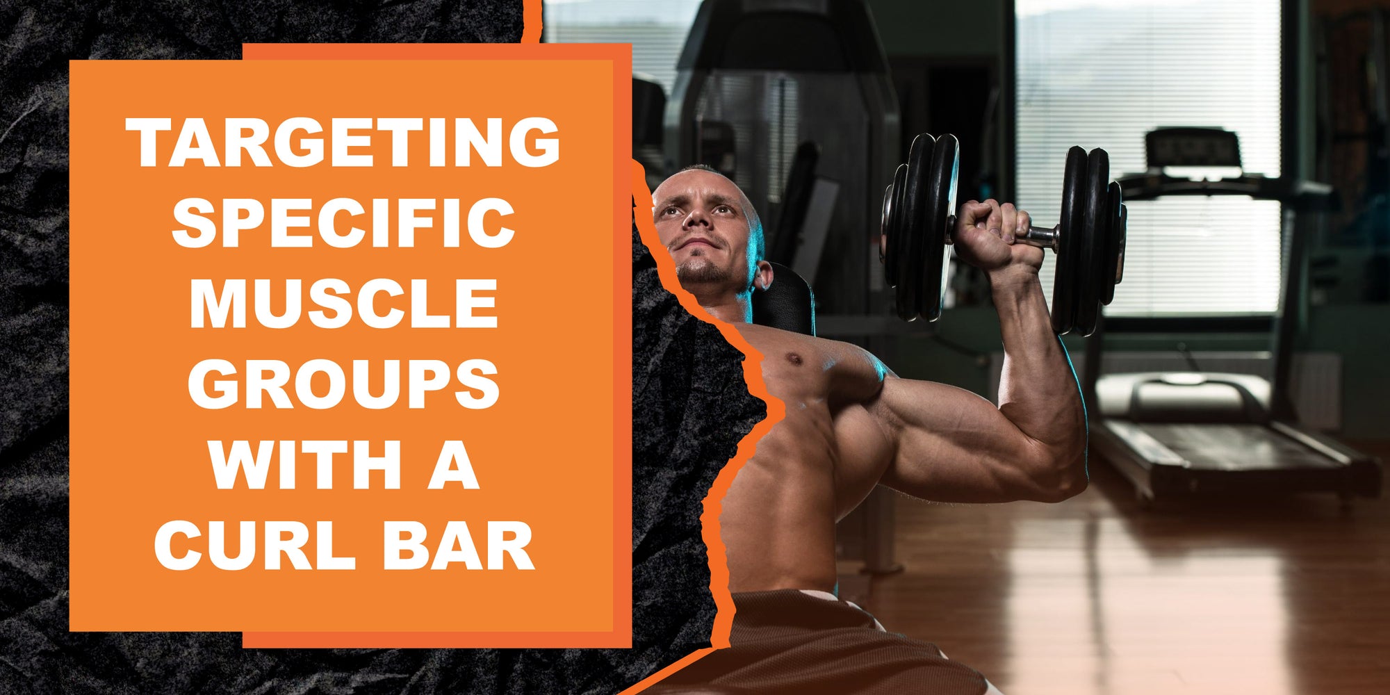 Targeting Specific Muscle Groups with a Curl Bar