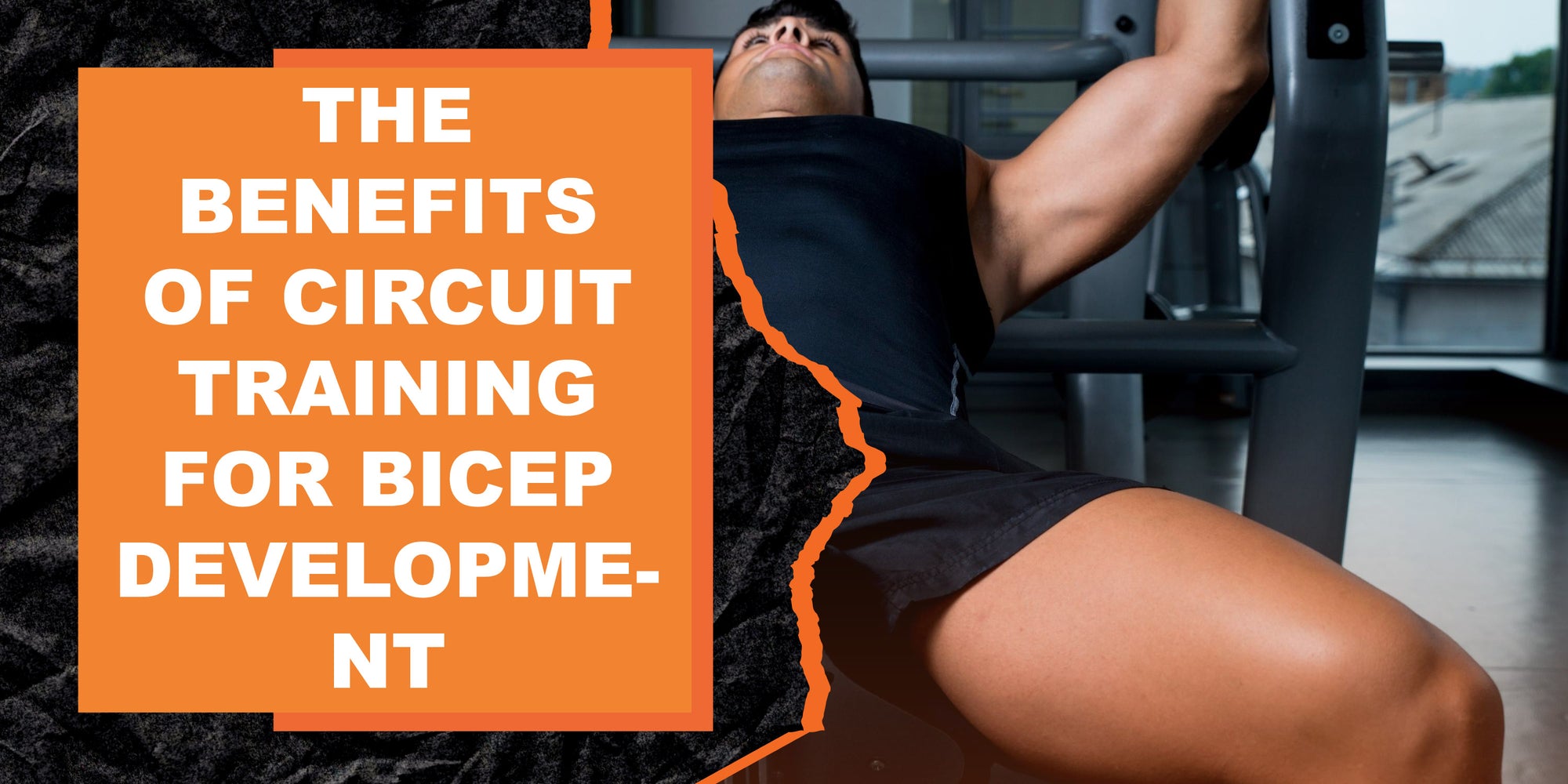 The Benefits of Circuit Training for Bicep Development