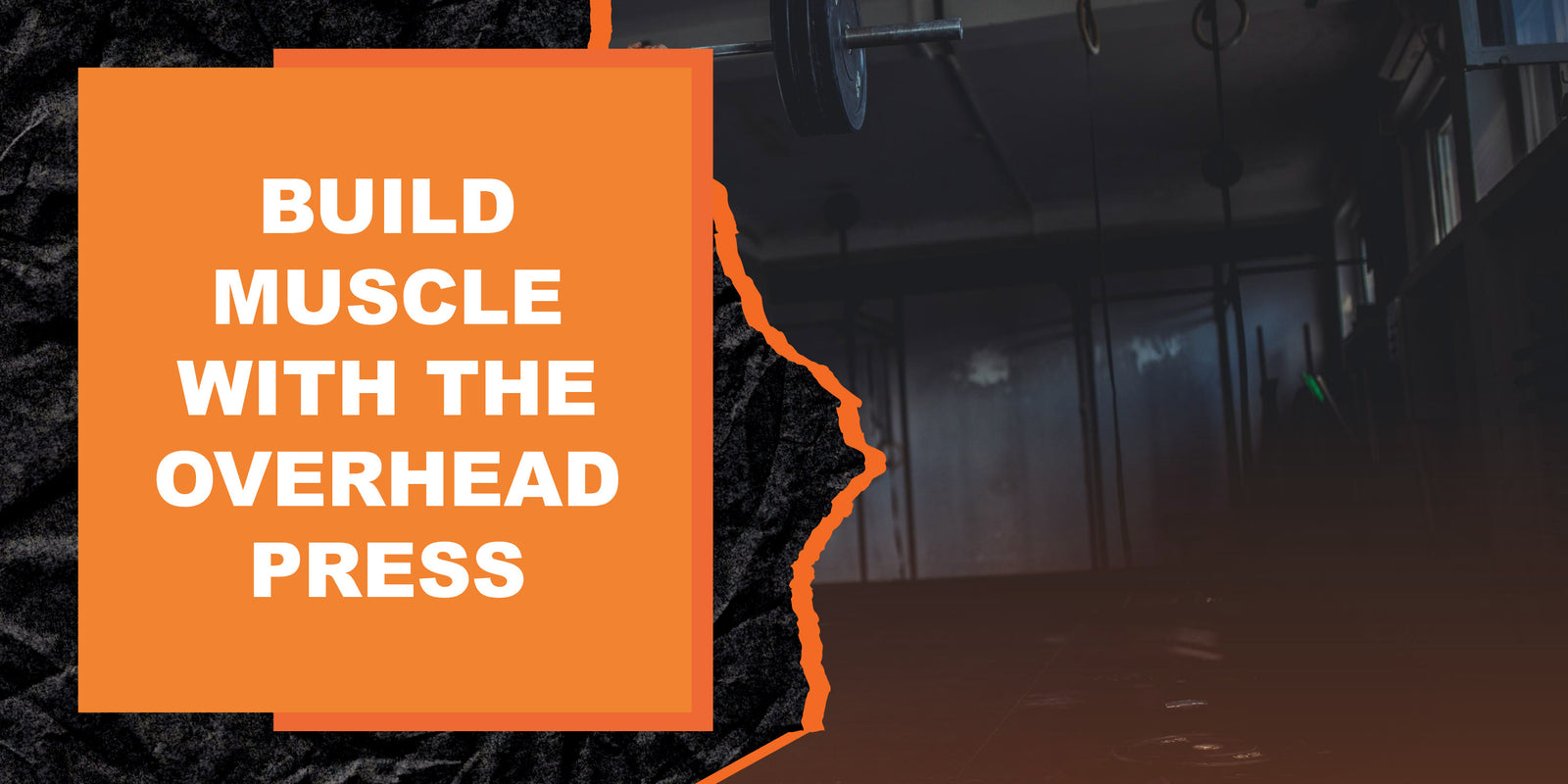 Increase Strength and Build Muscle with the Overhead Press