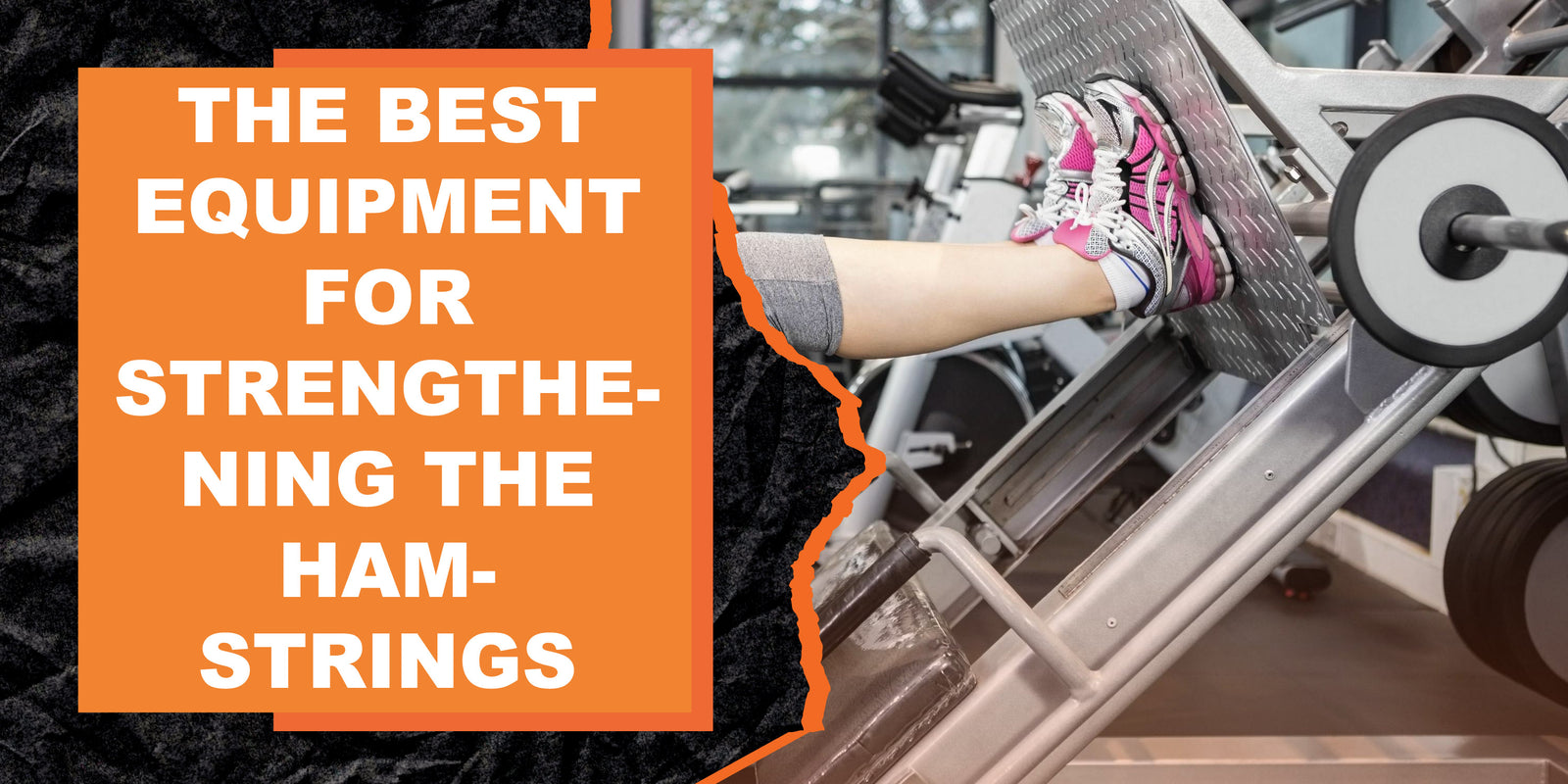 The Best Equipment for Strengthening the Hamstrings