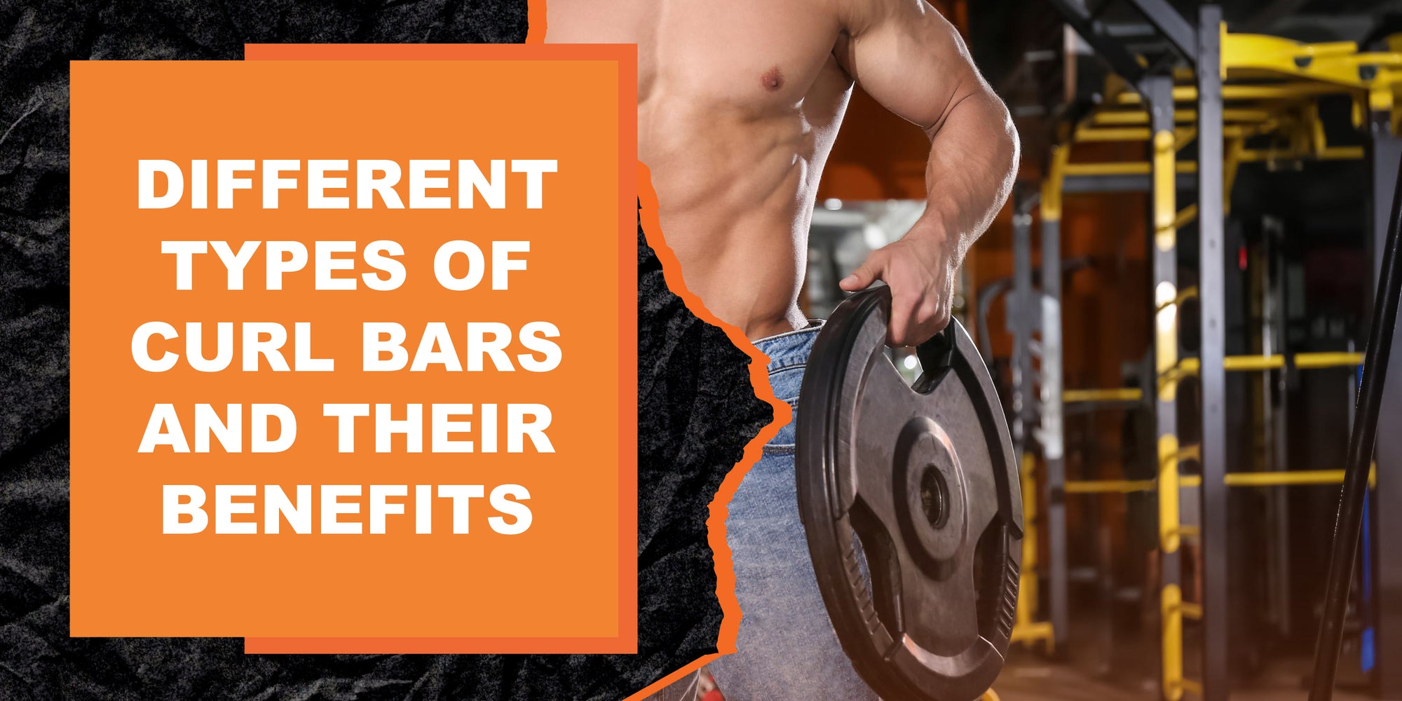 Different Types of Curl Bars and Their Benefits