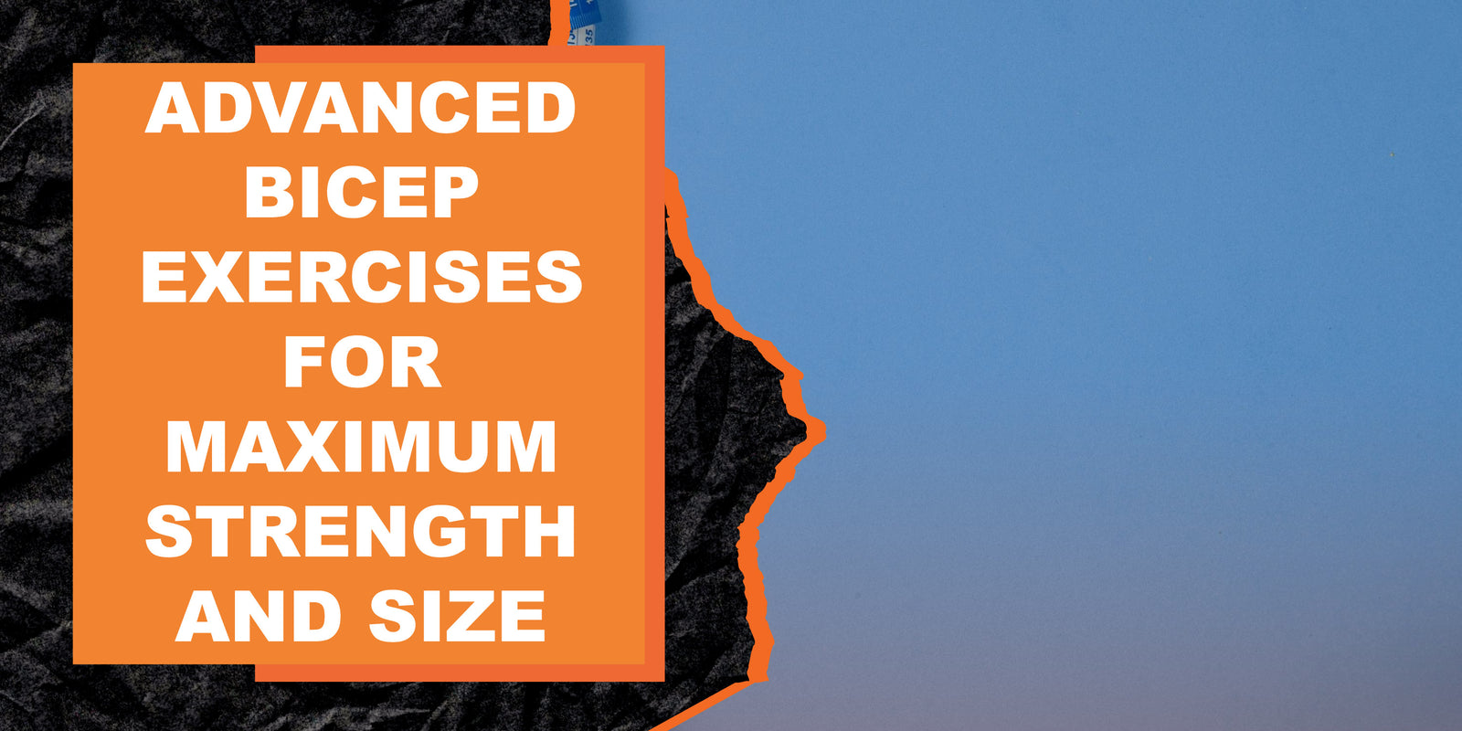 Advanced Bicep Exercises for Maximum Strength and Size