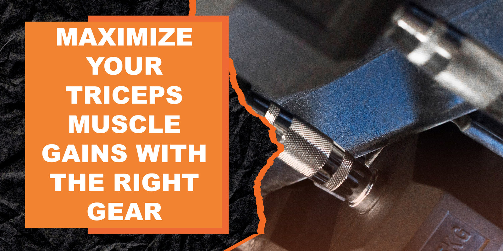 Maximize Your Triceps Muscle Gains with the Right Fitness Gear