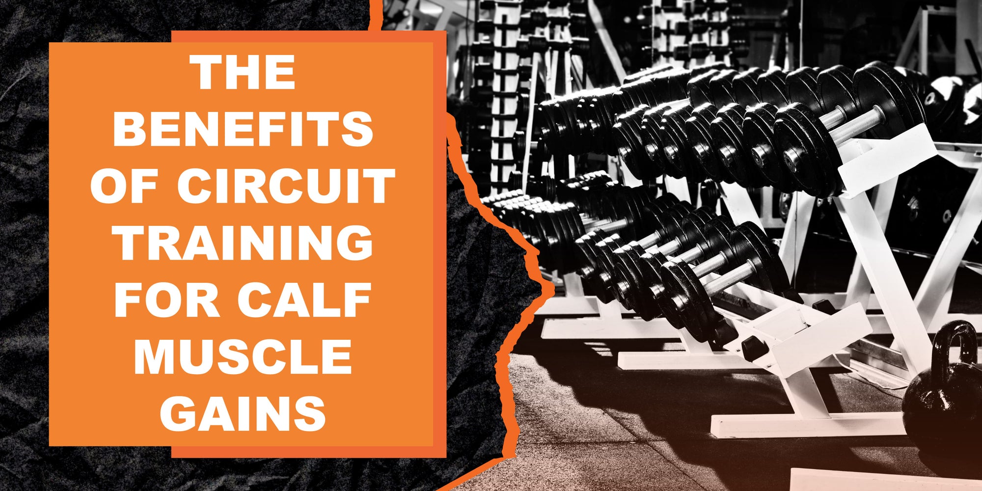 The Benefits of Circuit Training for Calf Muscle Gains