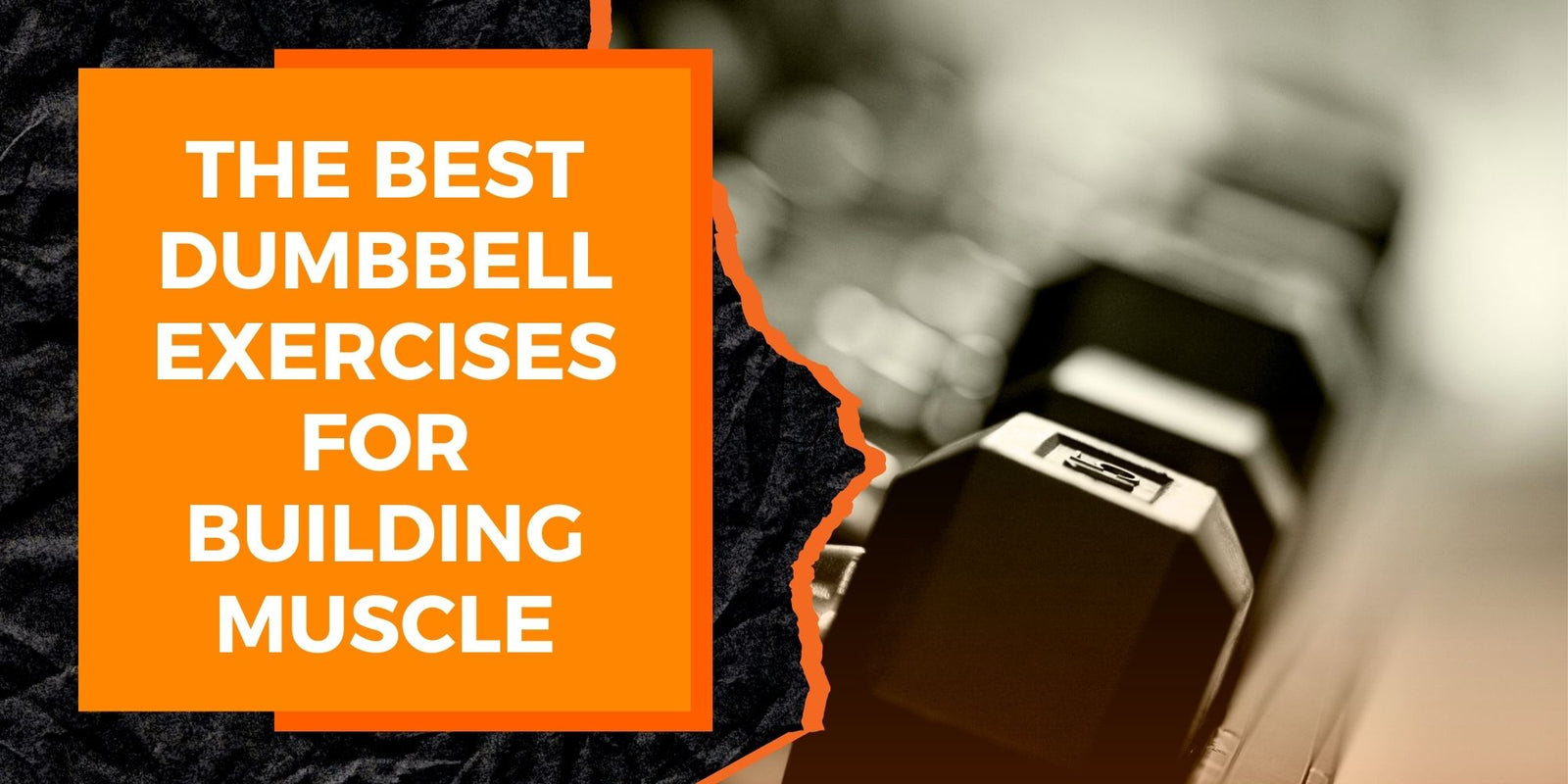 The Best Dumbbell Exercises for Building Muscle
