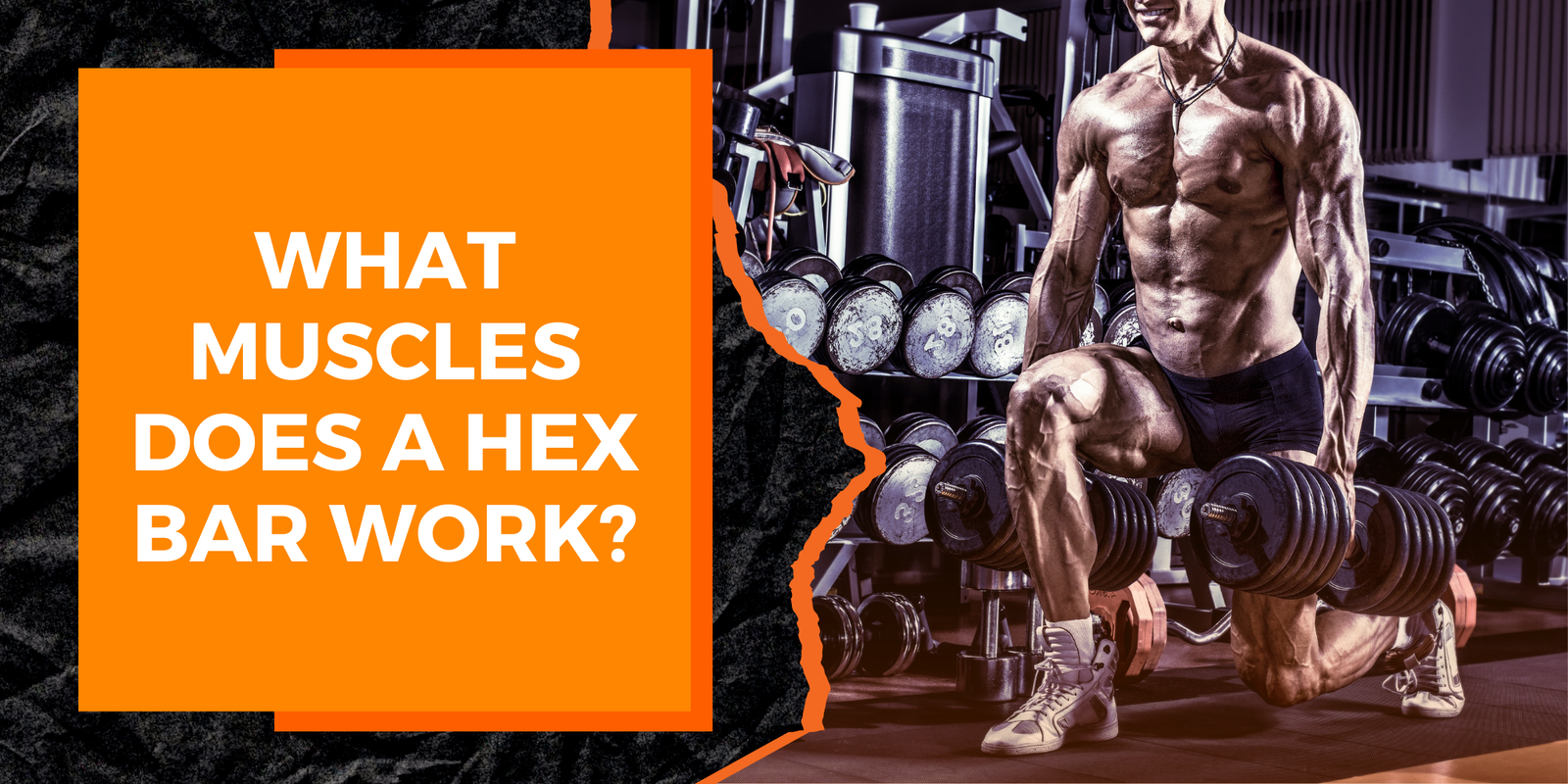 What Muscles Does a Hex Bar Work? MAGMA Fitness
