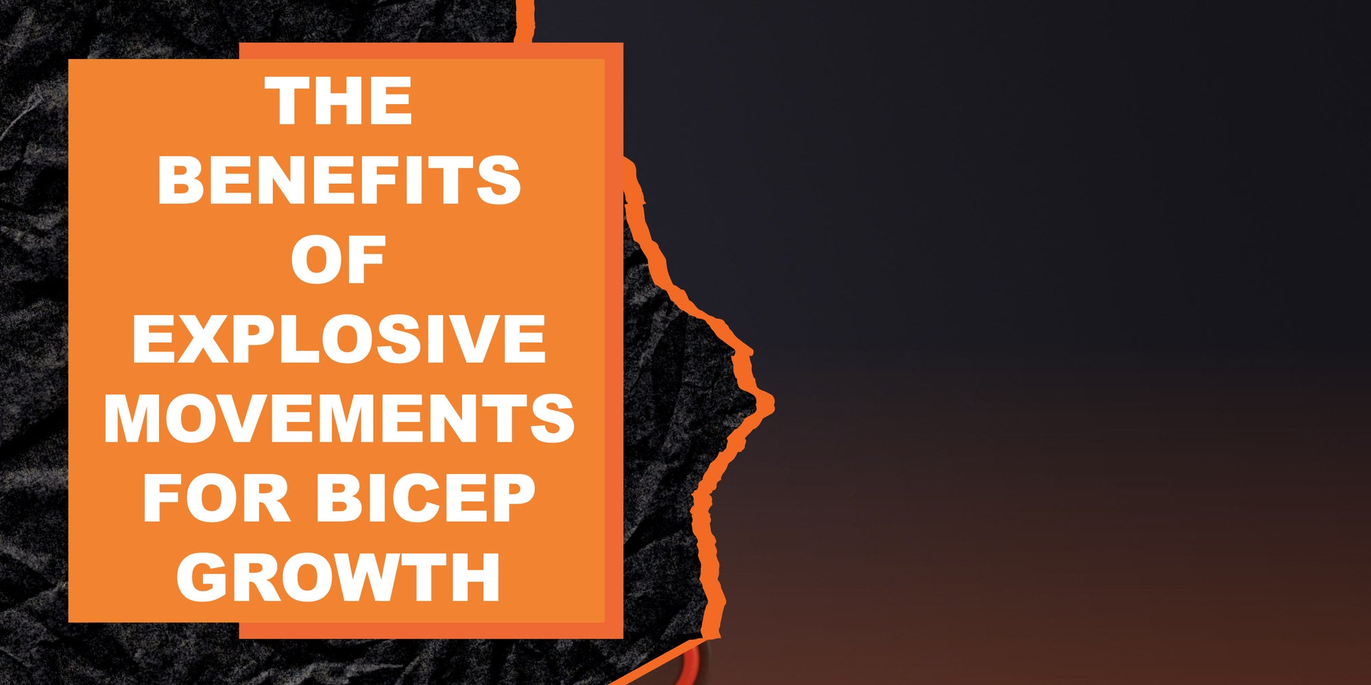 The Benefits of Explosive Movements for Bicep Growth
