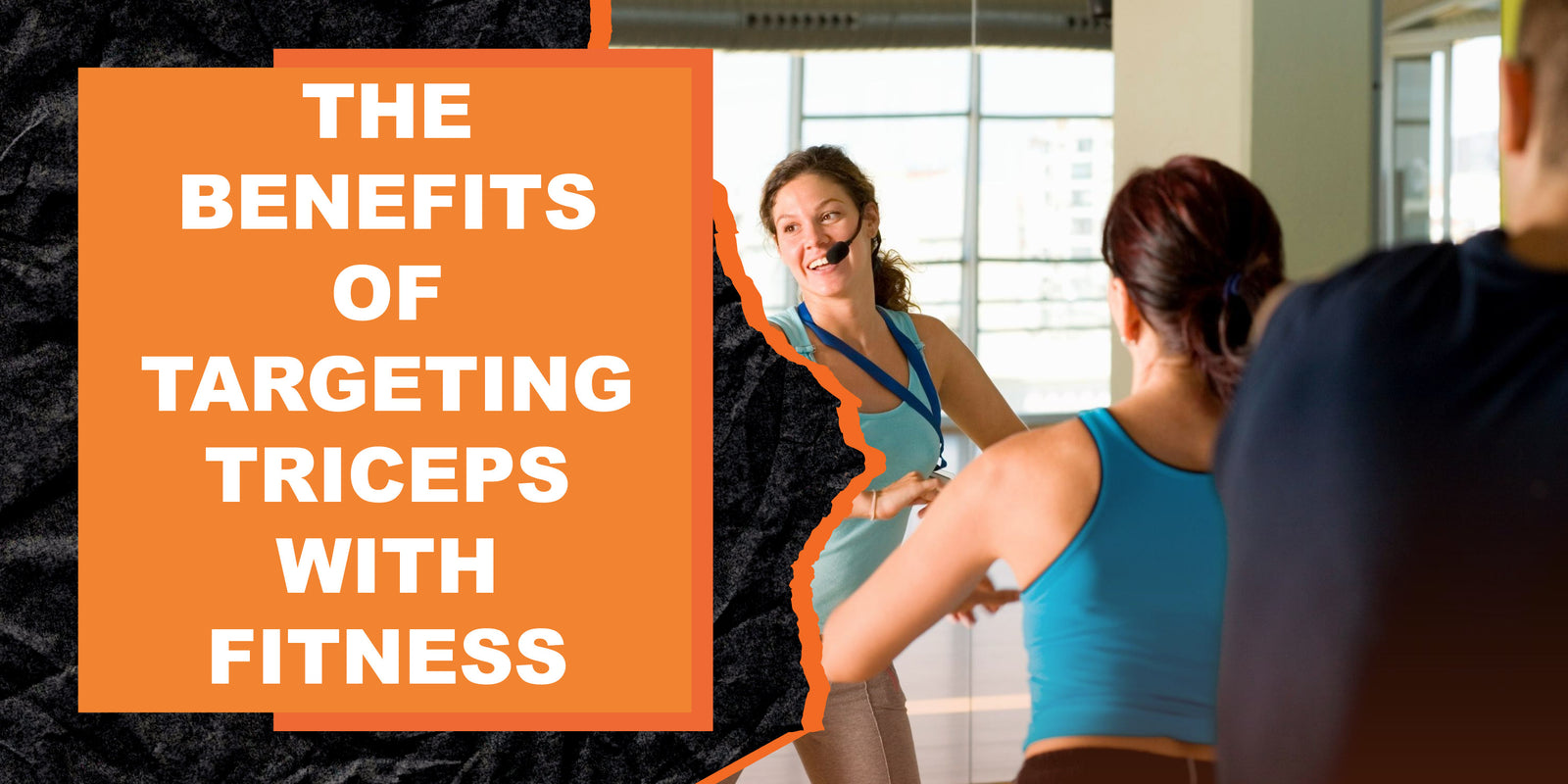 The Benefits of Targeting Triceps with Fitness Gear