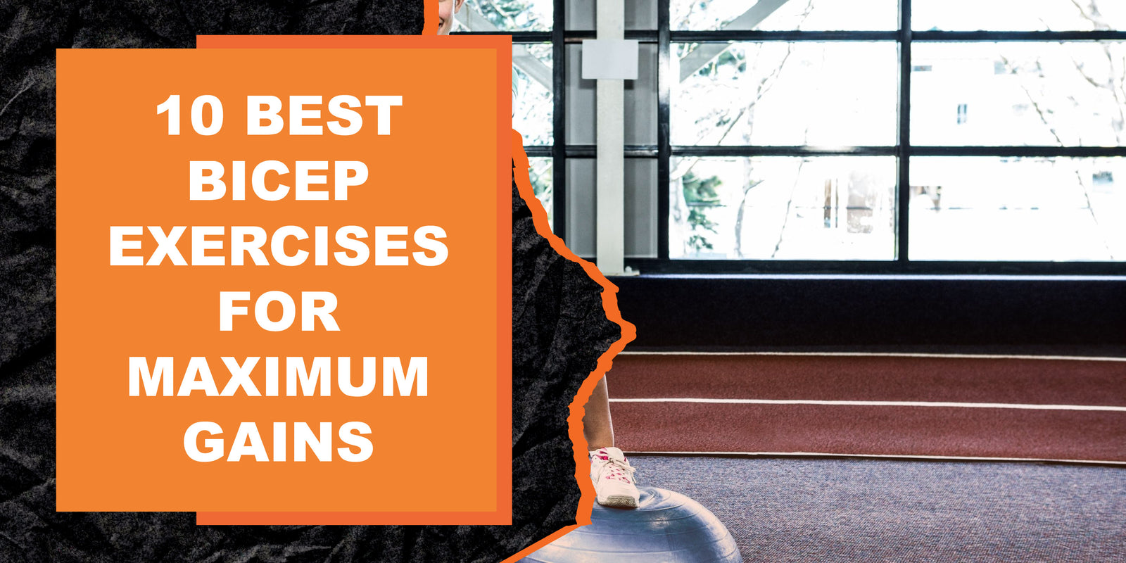 10 Best Bicep Exercises for Maximum Gains