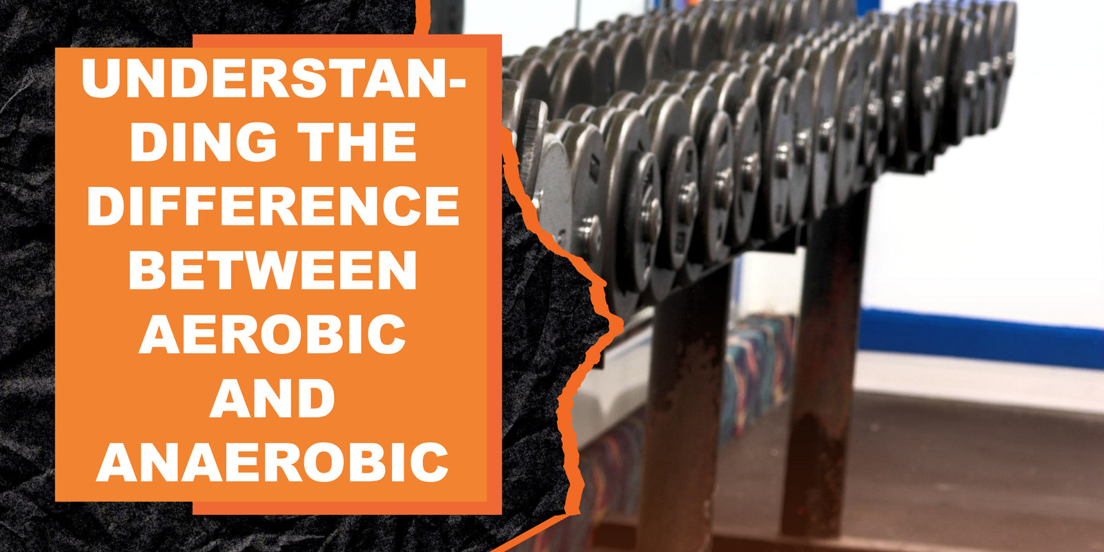 Understanding the Difference Between Aerobic and Anaerobic Exercise