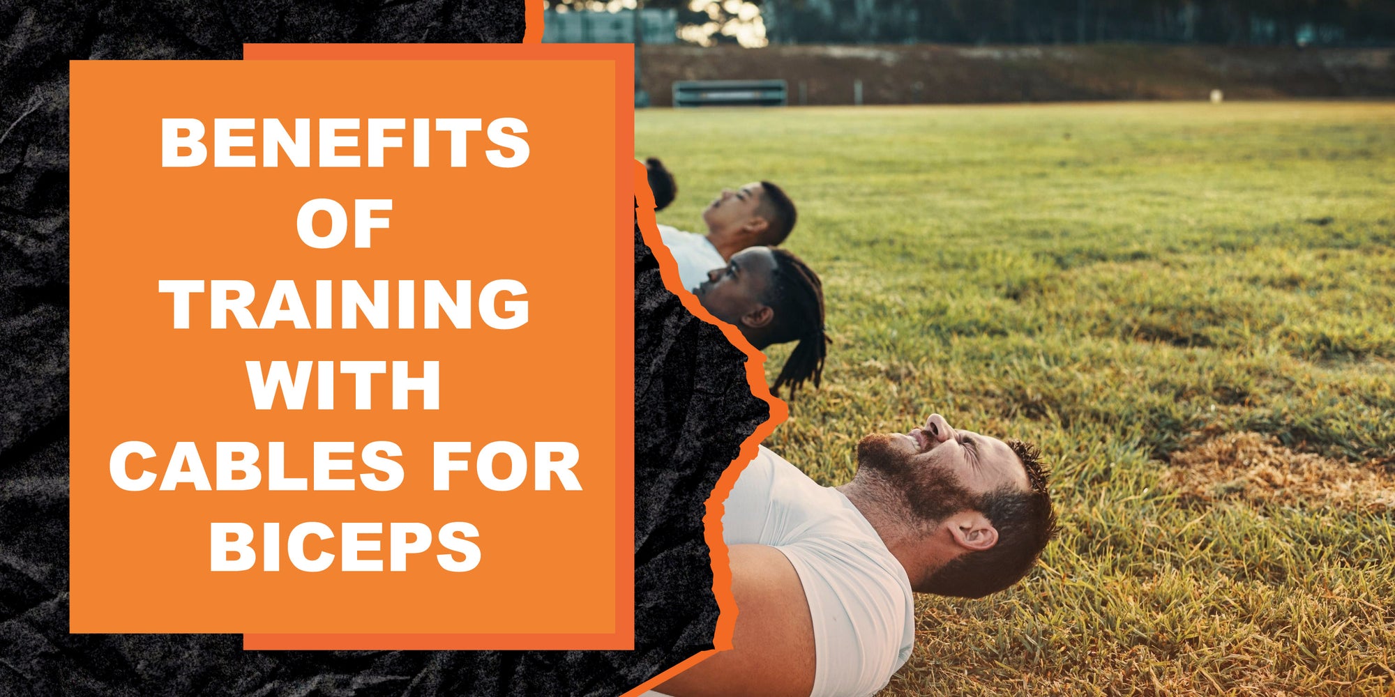 The Benefits of Training with Cables for Bicep Development