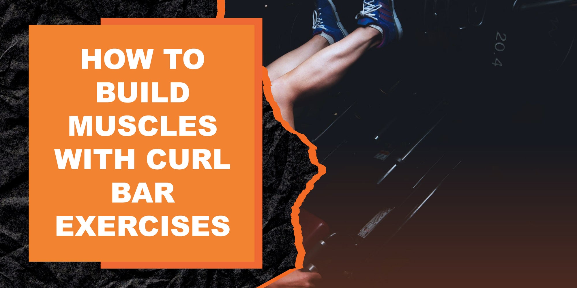 How to Build Muscles with Curl Bar Exercises