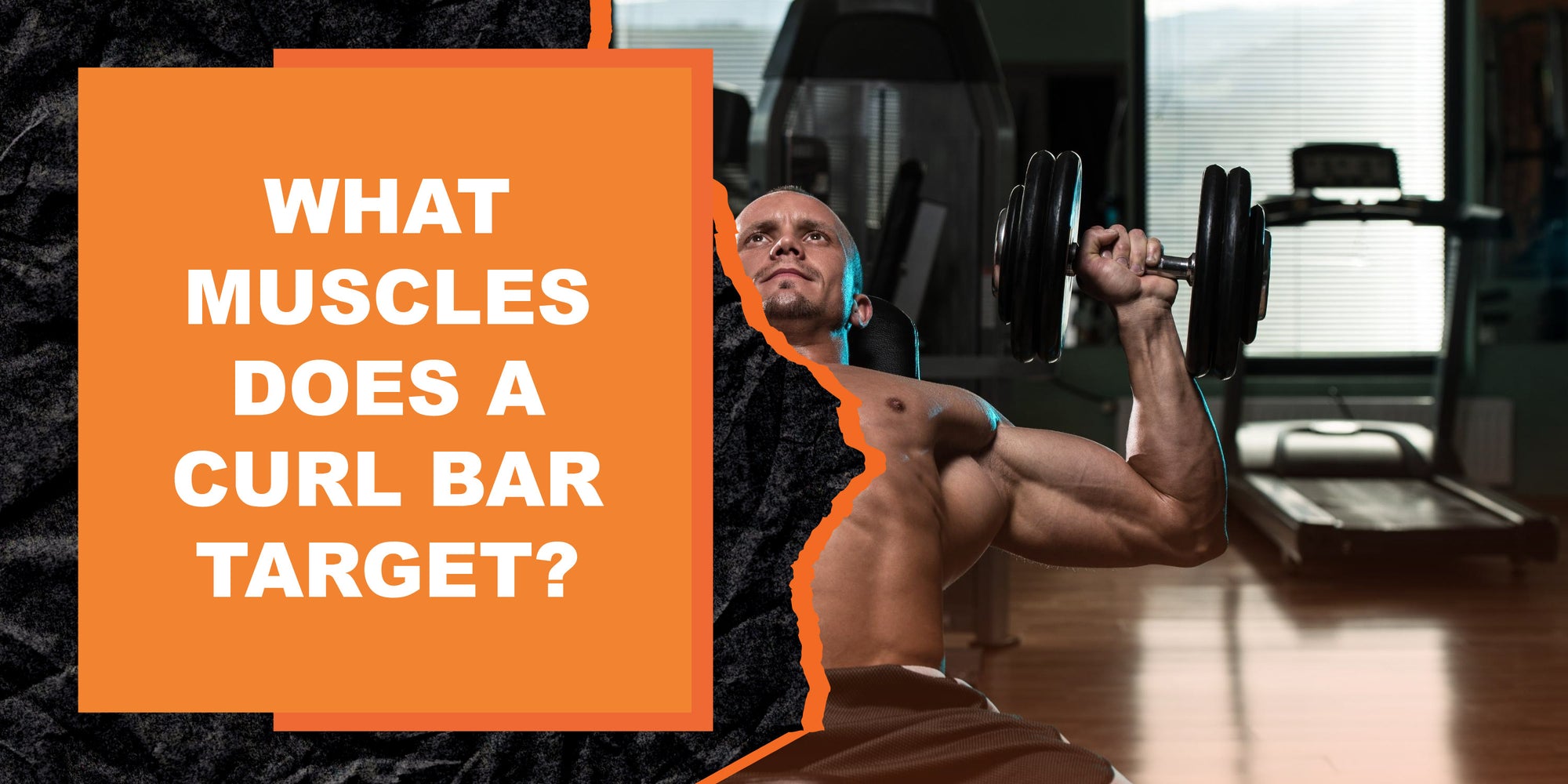 What Muscles Does a Curl Bar Target?