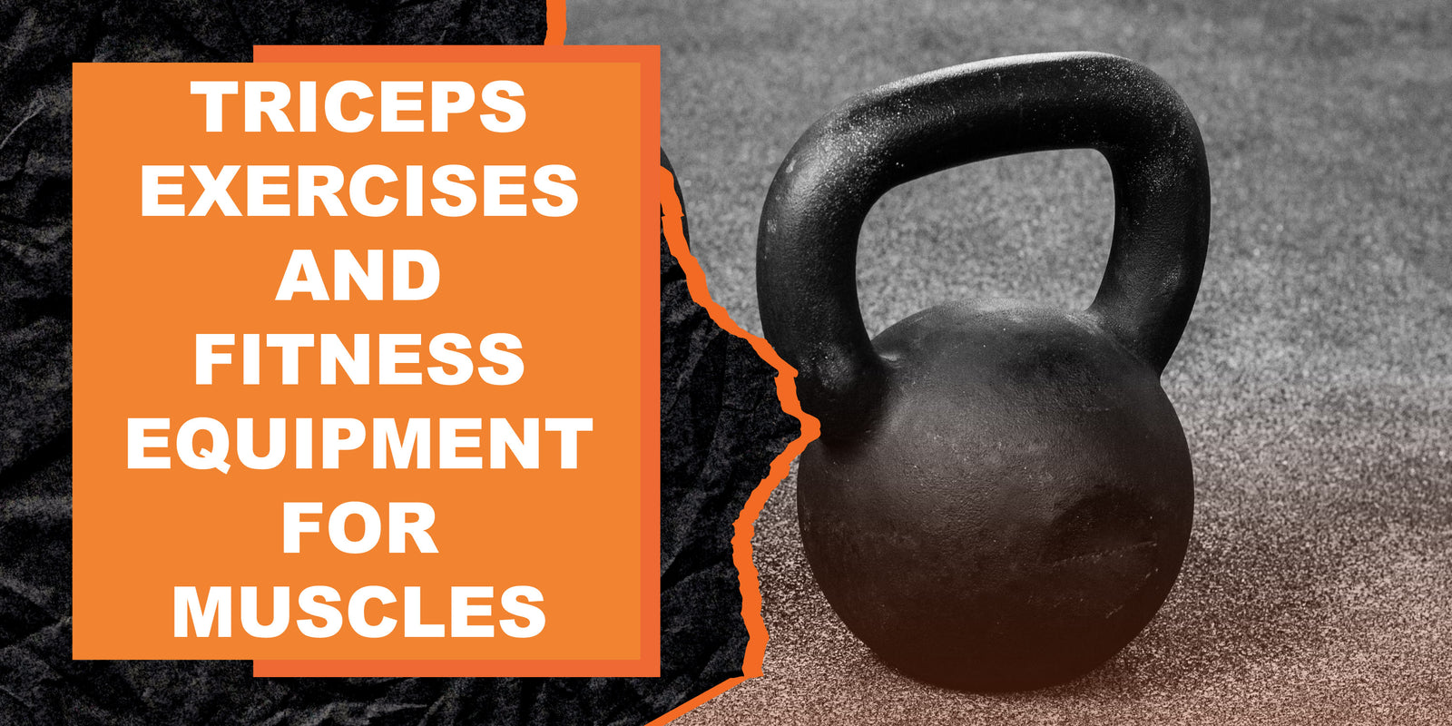 The Best Triceps Exercises and Fitness Equipment for Building Muscles
